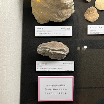北九州市立自然史・歴史博物館（いのちのたび博物館）に投稿された画像（2026/5/3）