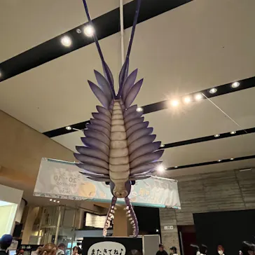 北九州市立自然史・歴史博物館（いのちのたび博物館）に投稿された画像（2026/5/3）