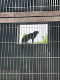 名古屋市東山動植物園に投稿された画像（2026/5/3）