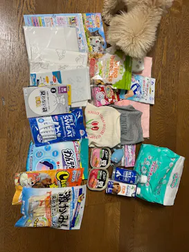 みんな大好き！！ペット王国に投稿された画像（2026/5/3）
