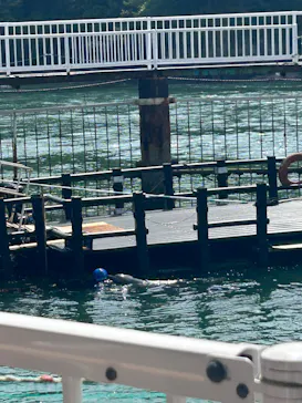 鳥羽湾めぐりとイルカ島に投稿された画像（2026/5/3）