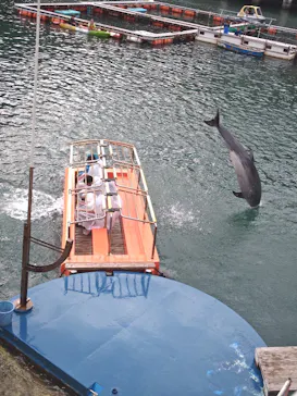 下田海中水族館に投稿された画像（2026/5/3）