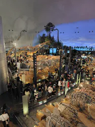 福井県立恐竜博物館に投稿された画像（2026/5/3）
