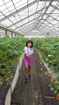 熱田農園Strawberry54に投稿された画像（2026/5/3）