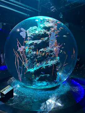 AQUARIUM × ART　atoa×felissimo chocolate museum（フェリシモ チョコレート ミュージアム）に投稿された画像（2026/5/3）