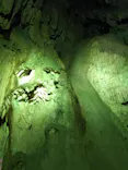 あぶくま洞に投稿された画像（2026/5/3）