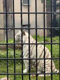 鹿児島市平川動物公園に投稿された画像（2026/5/3）