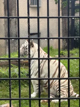 鹿児島市平川動物公園に投稿された画像（2026/5/3）