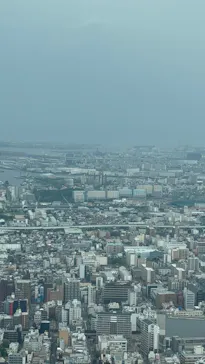 ハルカス300(展望台)に投稿された画像（2026/5/3）