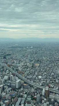 ハルカス300(展望台)に投稿された画像（2026/5/3）