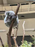 多摩動物公園に投稿された画像（2026/5/3）