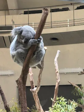 多摩動物公園に投稿された画像（2026/5/3）