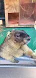 伊豆シャボテン動物公園に投稿された画像（2026/5/3）