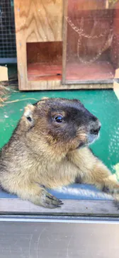 伊豆シャボテン動物公園に投稿された画像（2026/5/3）