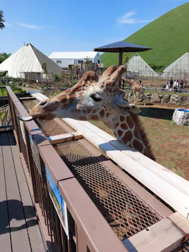 伊豆シャボテン動物公園に投稿された画像（2026/5/3）
