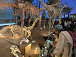 福井県立恐竜博物館に投稿された画像（2026/5/3）