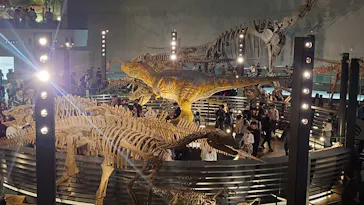 福井県立恐竜博物館に投稿された画像（2026/5/3）