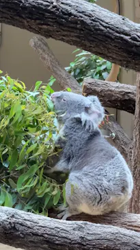 名古屋市東山動植物園に投稿された画像（2026/5/3）