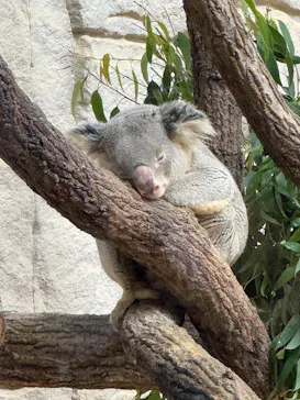 名古屋市東山動植物園に投稿された画像（2026/5/3）