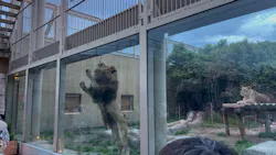 東武動物公園に投稿された画像（2026/5/3）