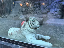 東武動物公園に投稿された画像（2026/5/3）