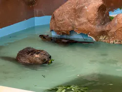 東武動物公園に投稿された画像（2026/5/3）