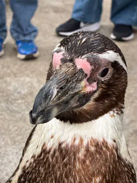 こども動物自然公園（埼玉県公園緑地協会）に投稿された画像（2026/5/3）