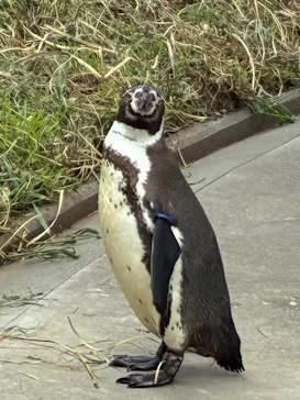 こども動物自然公園（埼玉県公園緑地協会）に投稿された画像（2026/5/3）