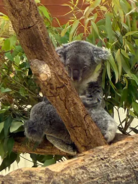 こども動物自然公園（埼玉県公園緑地協会）に投稿された画像（2026/5/3）