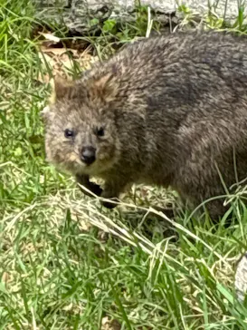 こども動物自然公園（埼玉県公園緑地協会）に投稿された画像（2026/5/3）