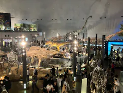 福井県立恐竜博物館に投稿された画像（2026/5/3）