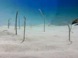 アクアワールド茨城県大洗水族館に投稿された画像（2026/5/3）