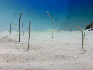 アクアワールド茨城県大洗水族館に投稿された画像（2026/5/3）