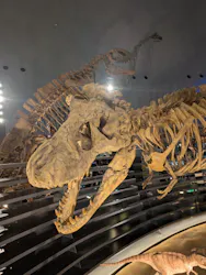 福井県立恐竜博物館に投稿された画像（2026/5/3）