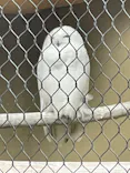天王寺動物園に投稿された画像（2026/5/3）