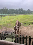 鹿児島市平川動物公園に投稿された画像（2026/5/3）