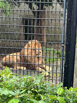 鹿児島市平川動物公園に投稿された画像（2026/5/3）