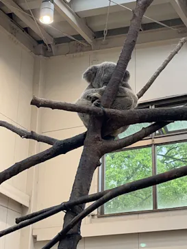 鹿児島市平川動物公園に投稿された画像（2026/5/3）