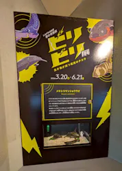 しながわ水族館に投稿された画像（2026/5/3）