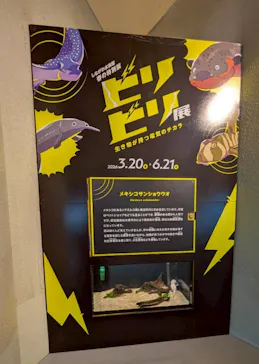 しながわ水族館に投稿された画像（2026/5/3）