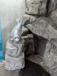 しながわ水族館に投稿された画像（2026/5/3）