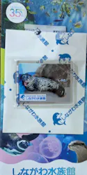 しながわ水族館に投稿された画像（2026/5/3）