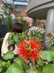 安城産業文化公園デンパークに投稿された画像（2026/5/3）