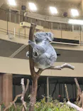 多摩動物公園に投稿された画像（2026/5/3）