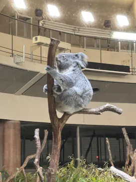 多摩動物公園に投稿された画像（2026/5/3）