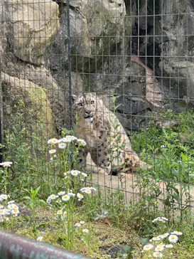 多摩動物公園に投稿された画像（2026/5/3）