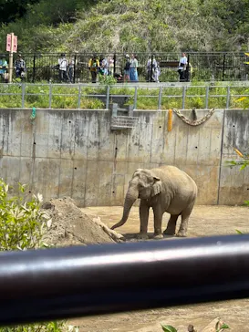 多摩動物公園に投稿された画像（2026/5/3）