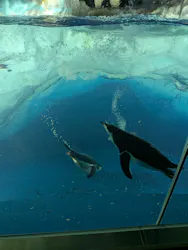 名古屋港水族館に投稿された画像（2026/5/3）