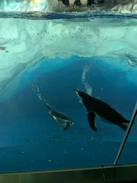 名古屋港水族館に投稿された画像（2026/5/3）