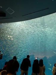 名古屋港水族館に投稿された画像（2026/5/3）